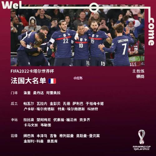 法国欧洲杯号码名单（法国欧洲杯球员名单）